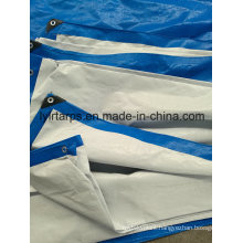 Blue/White PE Tarpaulin Sheet, Tarpolin Cover